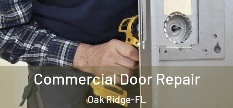  Commercial Door Repair Oak Ridge-FL