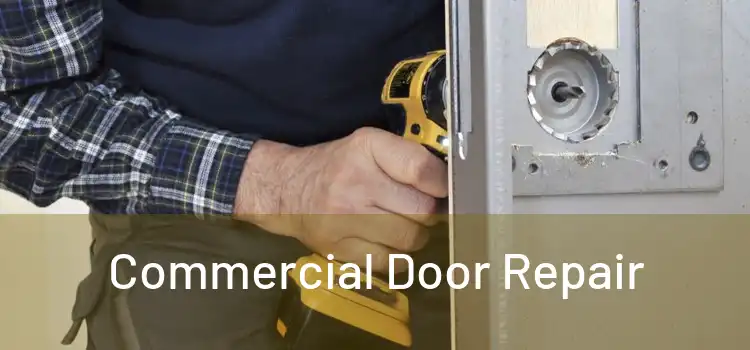  Commercial Door Repair 