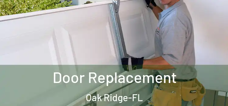  Door Replacement Oak Ridge-FL