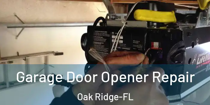  Garage Door Opener Repair Oak Ridge-FL
