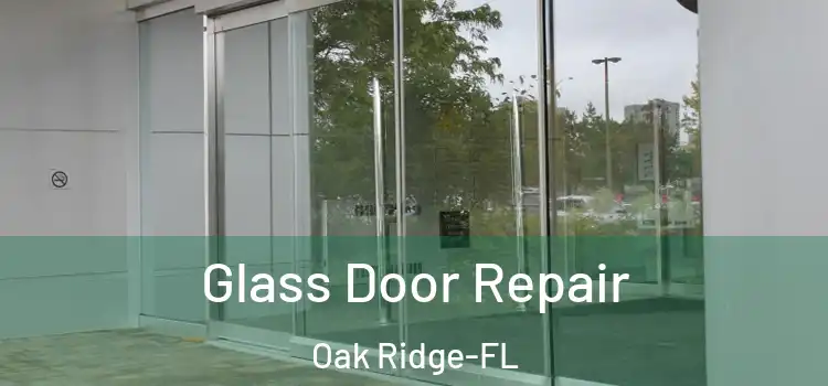  Glass Door Repair Oak Ridge-FL