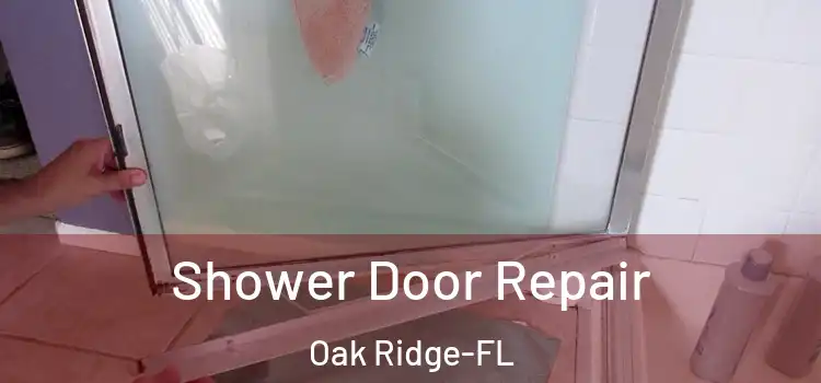  Shower Door Repair Oak Ridge-FL