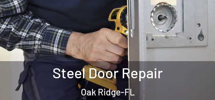  Steel Door Repair Oak Ridge-FL